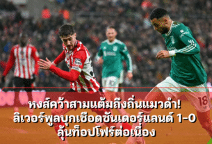หงส์คว้าสามแต้มถึงถิ่นแมวดำ! ลิเวอร์พูลบุกเชือดซันเดอร์แลนด์ 1-0 ลุ้